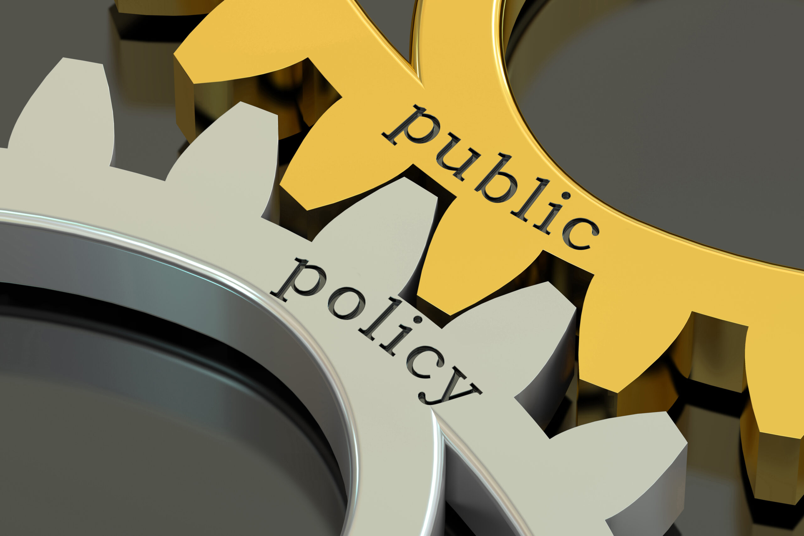 public policy information